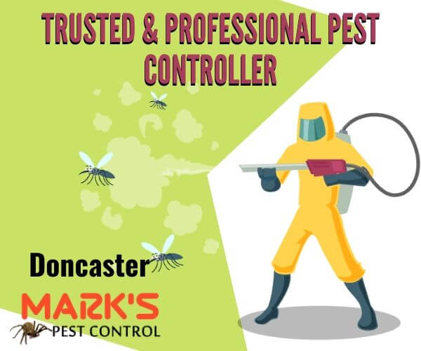 Best pest control Doncaster