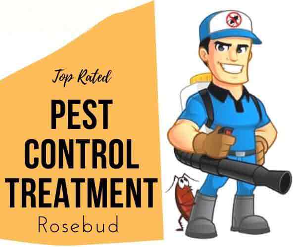 Best pest control Rosebud