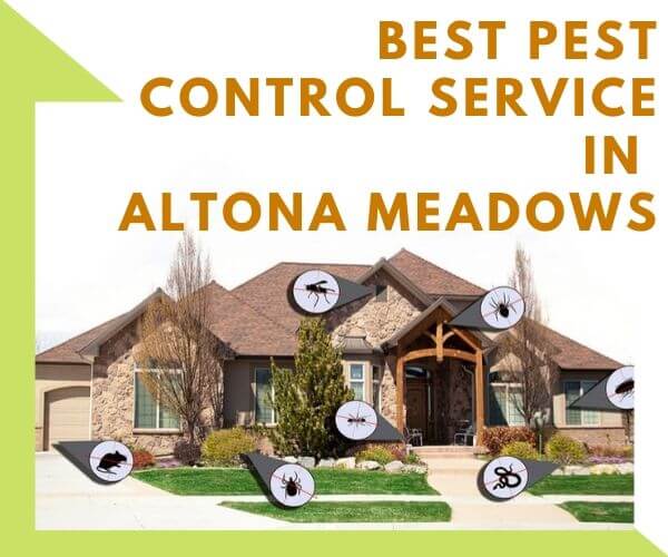 Best pest control service