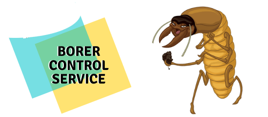Borer Control Service- Marks Pest Control