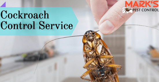 Cockroaches Control Service