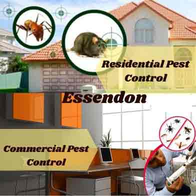 Commercial & Residential Pest Control Essendon