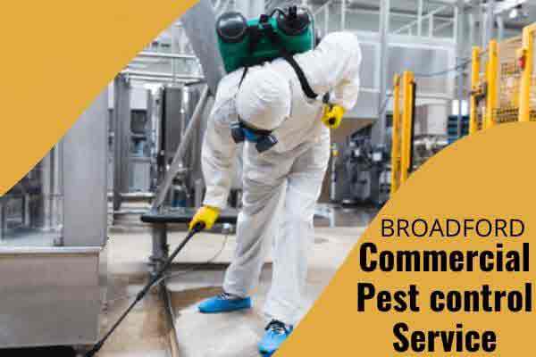 Commercial pest control Broadford