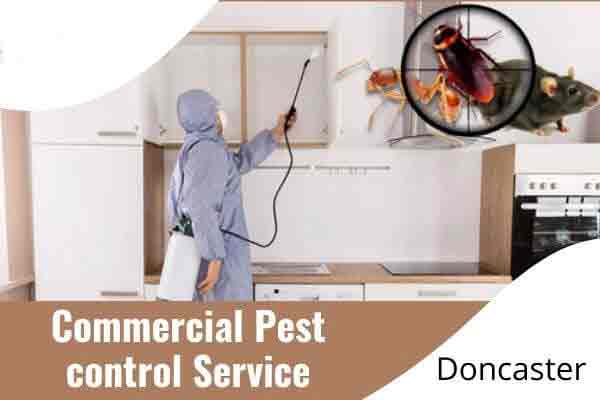 Commercial pest control Doncaster