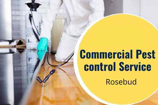 Commercial pest control Rosebud