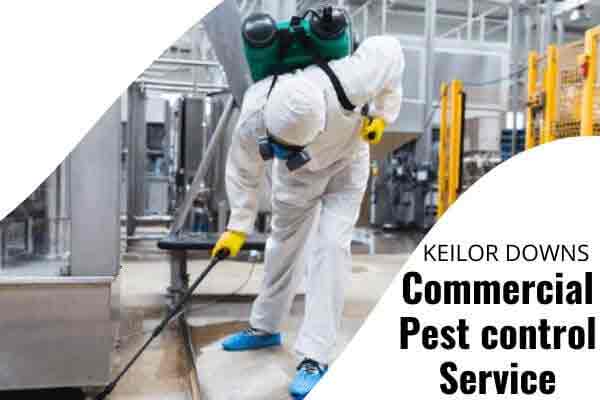 Commercial pest control service