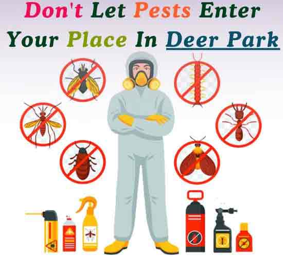 Pest Control Deer Park