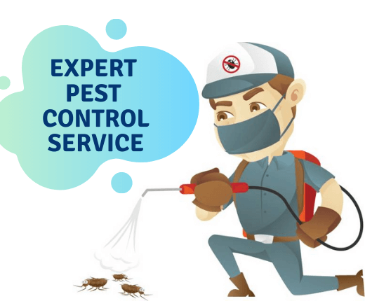 Expert Pest Control Service-Marks Pest Control