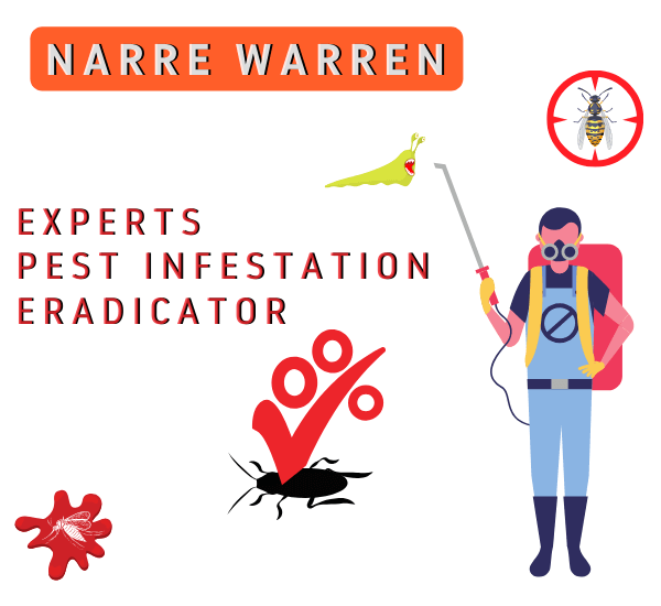 Experts Pest Infestation Eradicator in Narre Warren