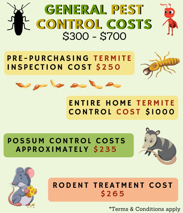How Much Does The Pest Control Service Cost In 2020?