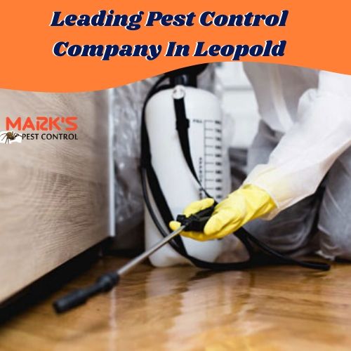 Leading Pest Control Company In Leopold