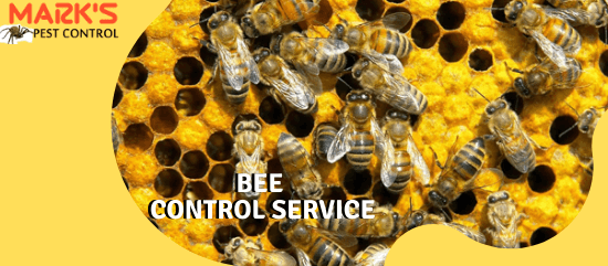 Marks Bee Control Service