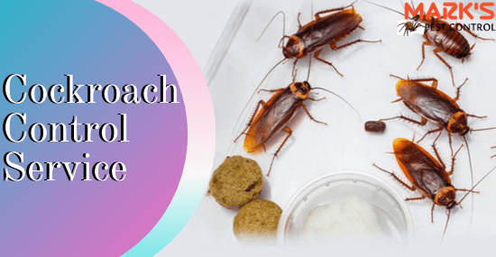 Marks Cockroaches Control Service