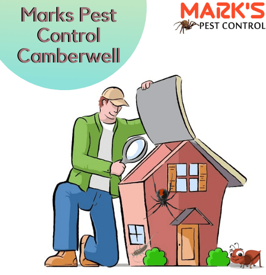 Marks Pest Control Camberwell