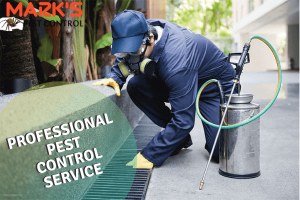 Marks Professional Pest Control service