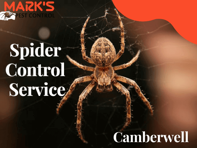 Pest Control Camberwell