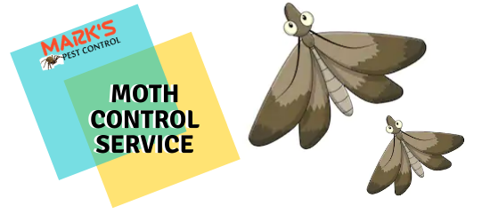 Moth Control Service- Marks Pest Control