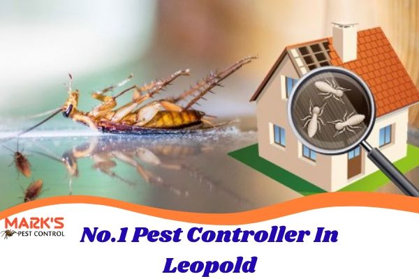 No.1 Pest Controller In Leopold