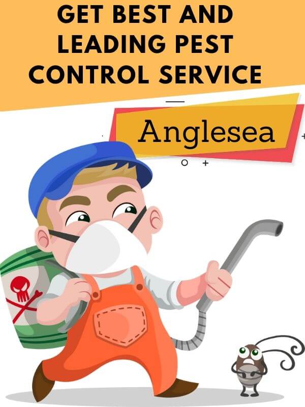 Pest Control Anglesea