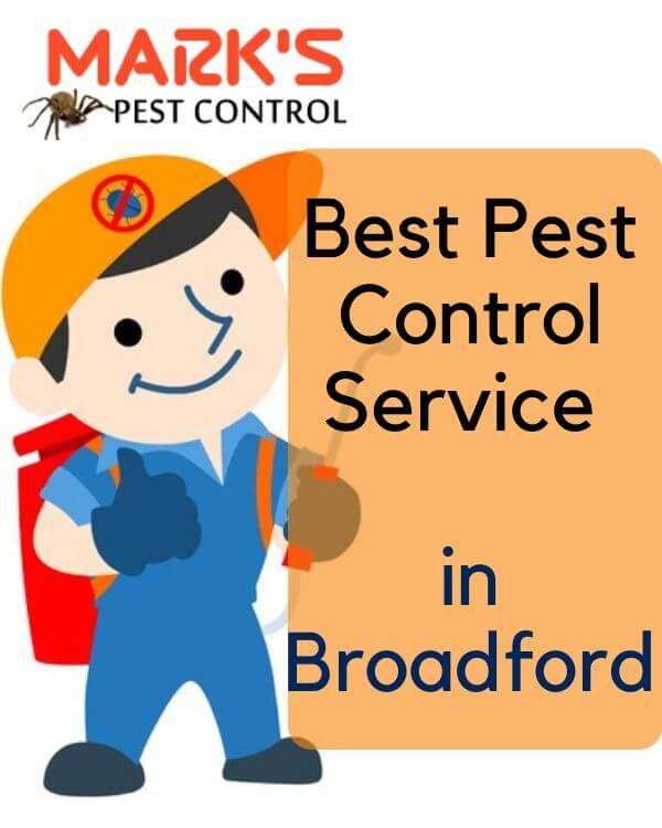 Pest Control Broadford