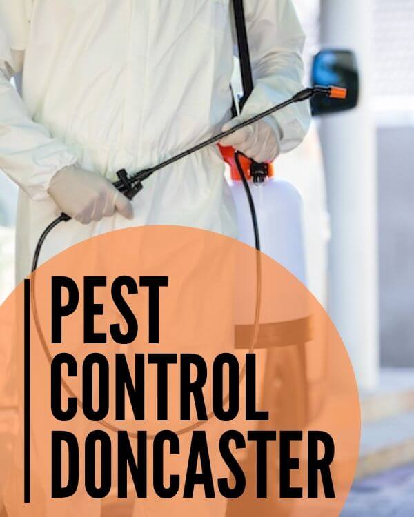 Pest Control Doncaster