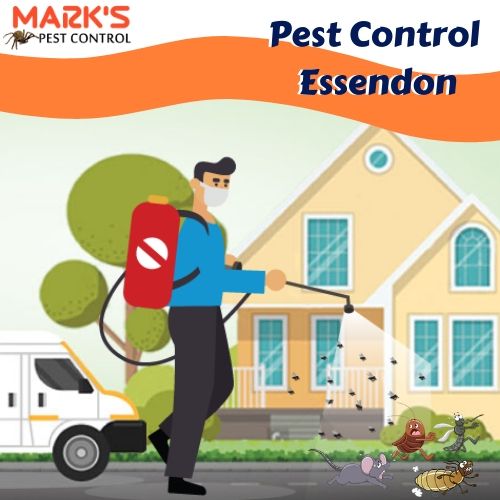 Pest Control Essendon