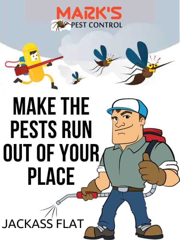 Pest Control Jackass Flat