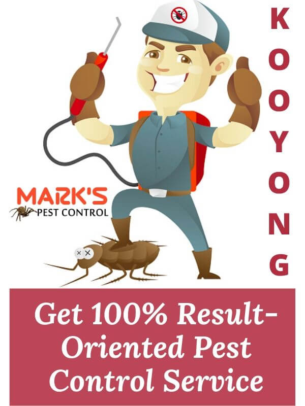 Pest Control Kooyong