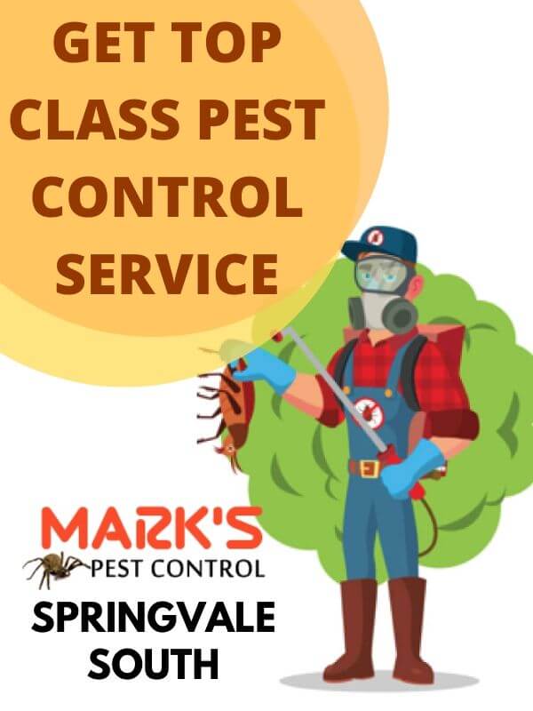 Pest Control Springvale South