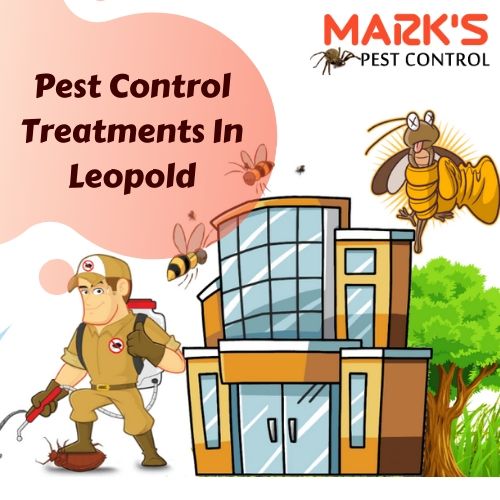 Pest Control Treatments In Leopold