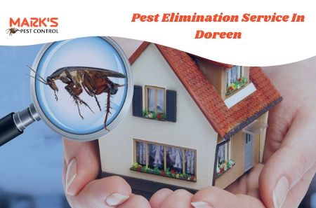 Pest Elimination Service In Doreen