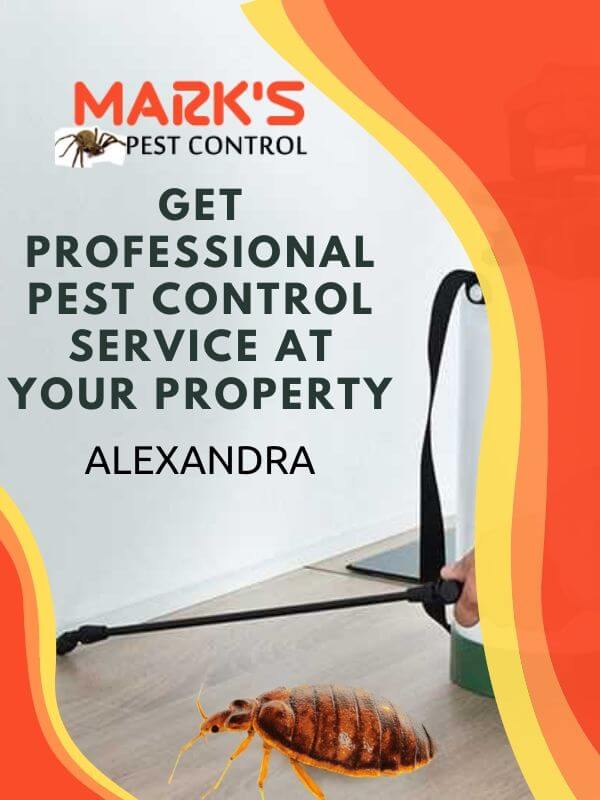 Pest control Alexandra