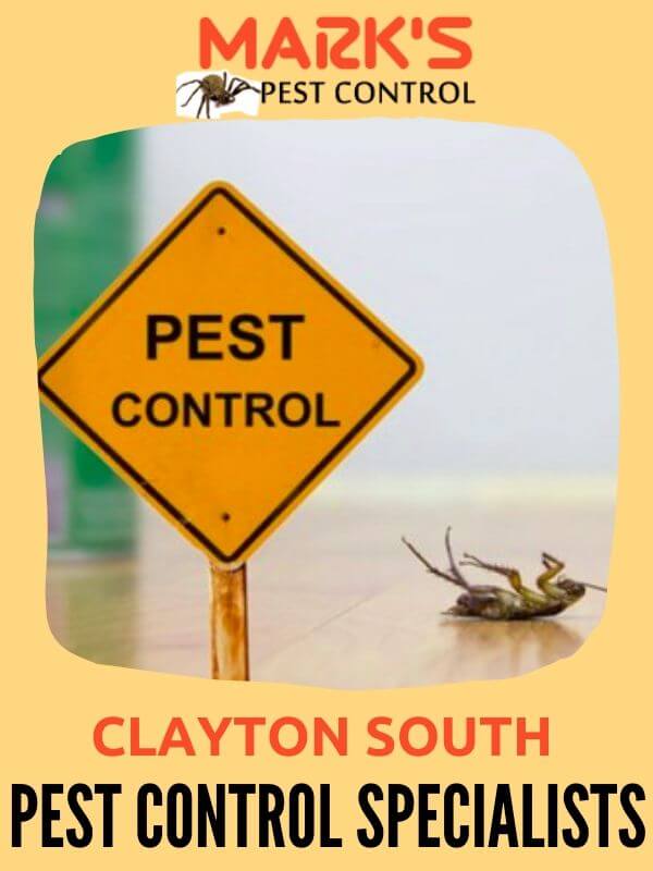 Pest Control Clayton South