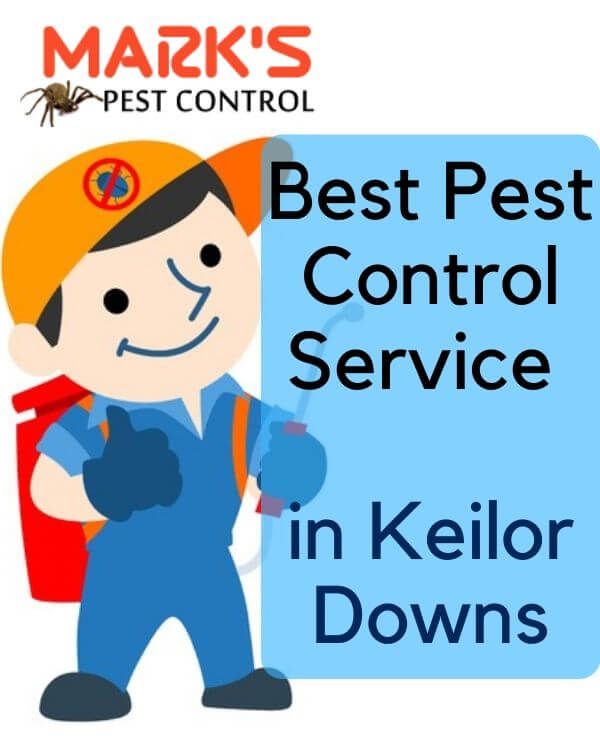 Pest control Keilor Downs