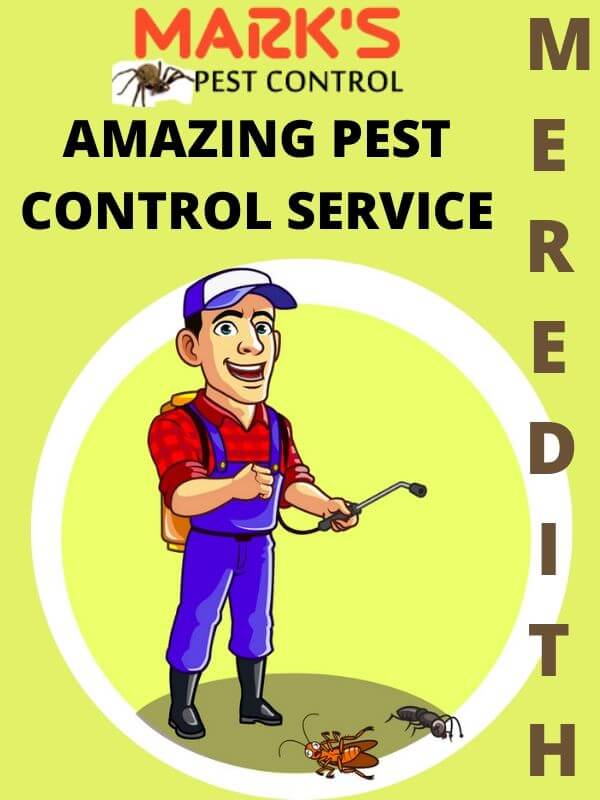 Pest Control Meredith
