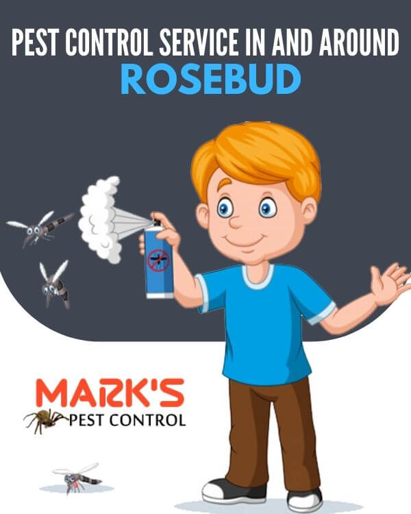 Pest control Rosebud