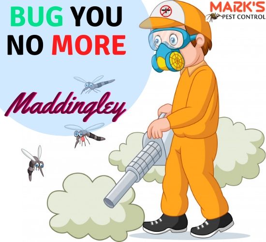 Pest Control Maddingley