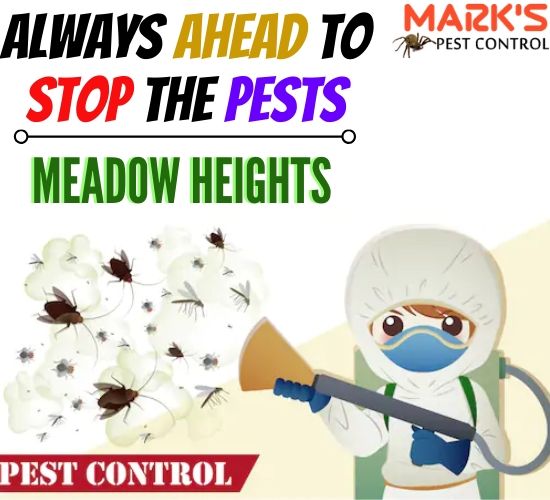 Pest Control Meadow Heights