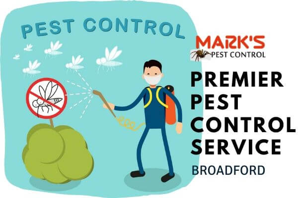 Premier pest control Broadford