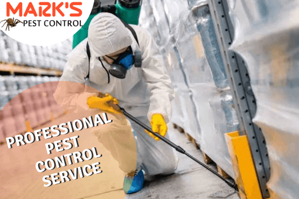 Professional Pest Control service-Marks Pest Control