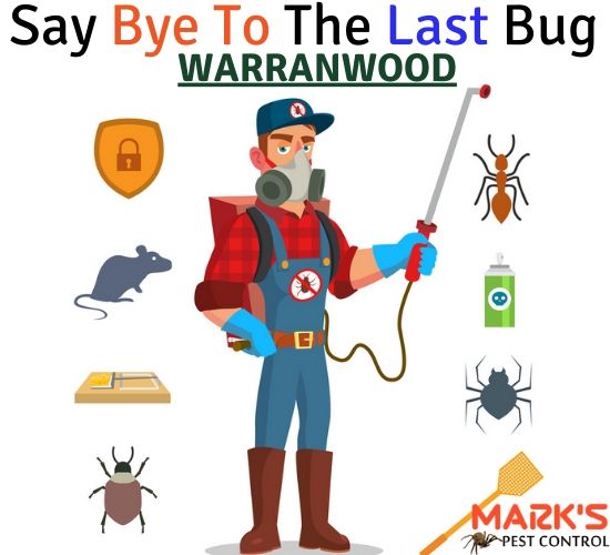 Pest Control Warranwood