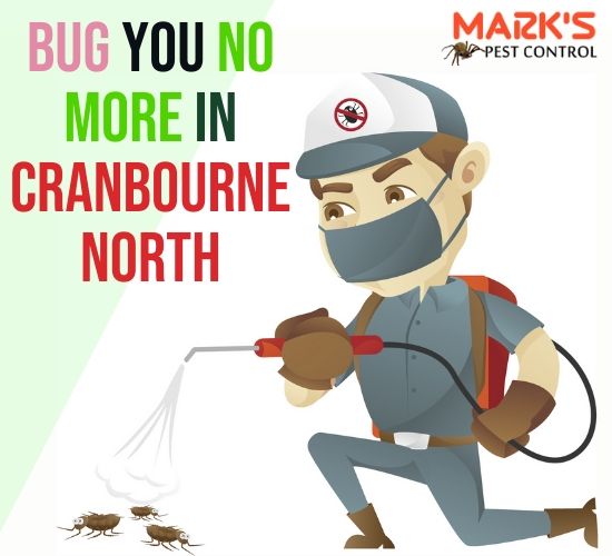 Pest Control Cranbourne North