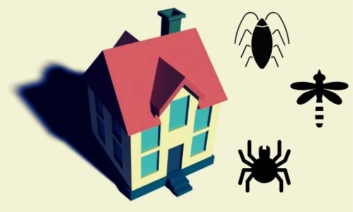 RESIDENTIAL PEST CONTROL