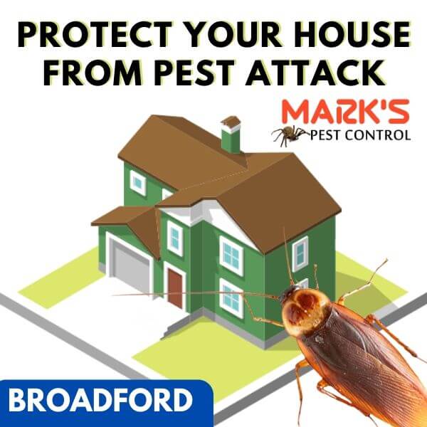 Residential pest control Broadford