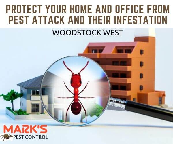 Residential pest control Woodstock West