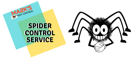 Spider Control Service- Marks Pest Control