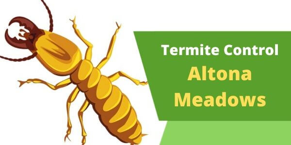 Termite control Altona Meadows