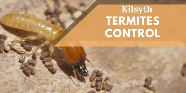 Termites control Kilsyth