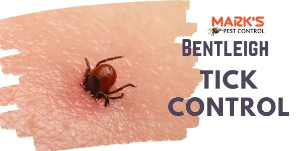 Tick control Bentleigh