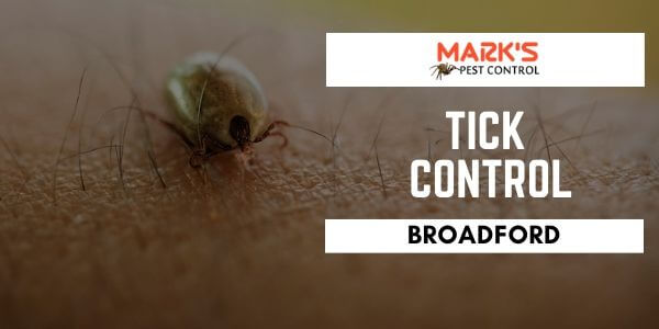 Tick control Broadford